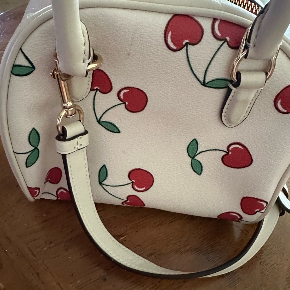 Coach cherry’s small handbag